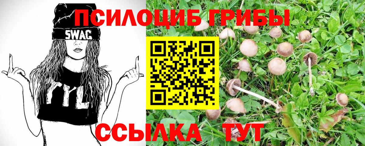 Сарапул  Псилоцибиновые грибы MAGIC MUSHROOMS  Вход с VPN 